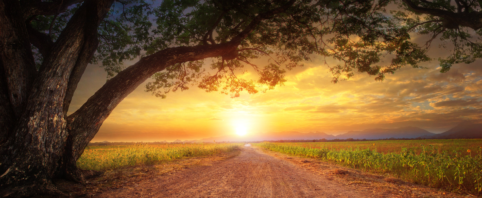 Быть свидетельством — 90