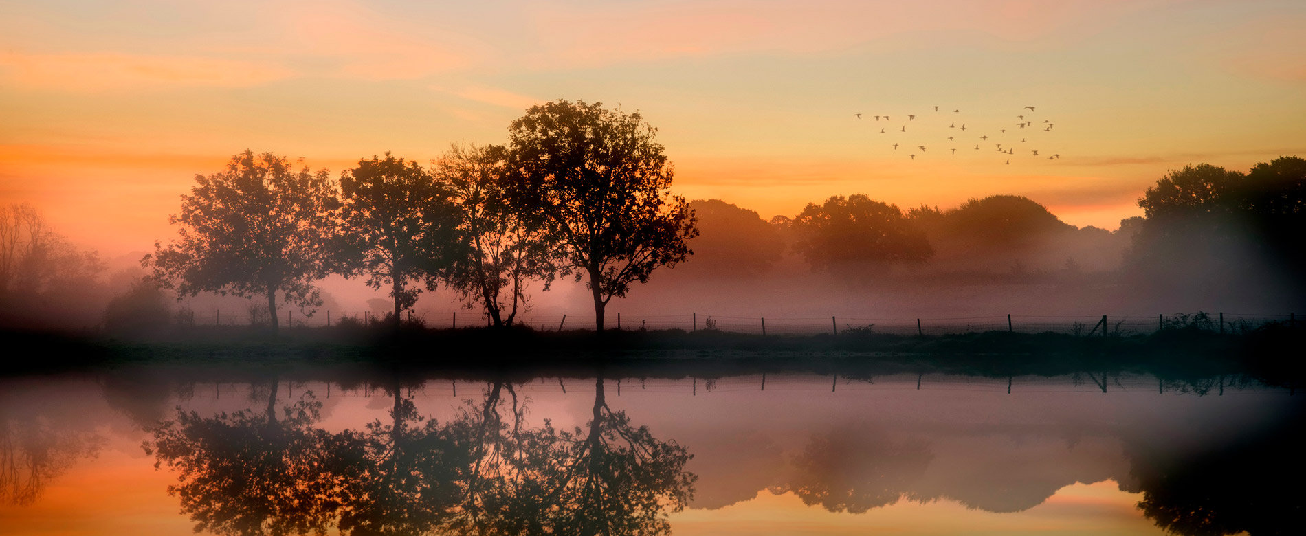 Быть свидетельством — 93