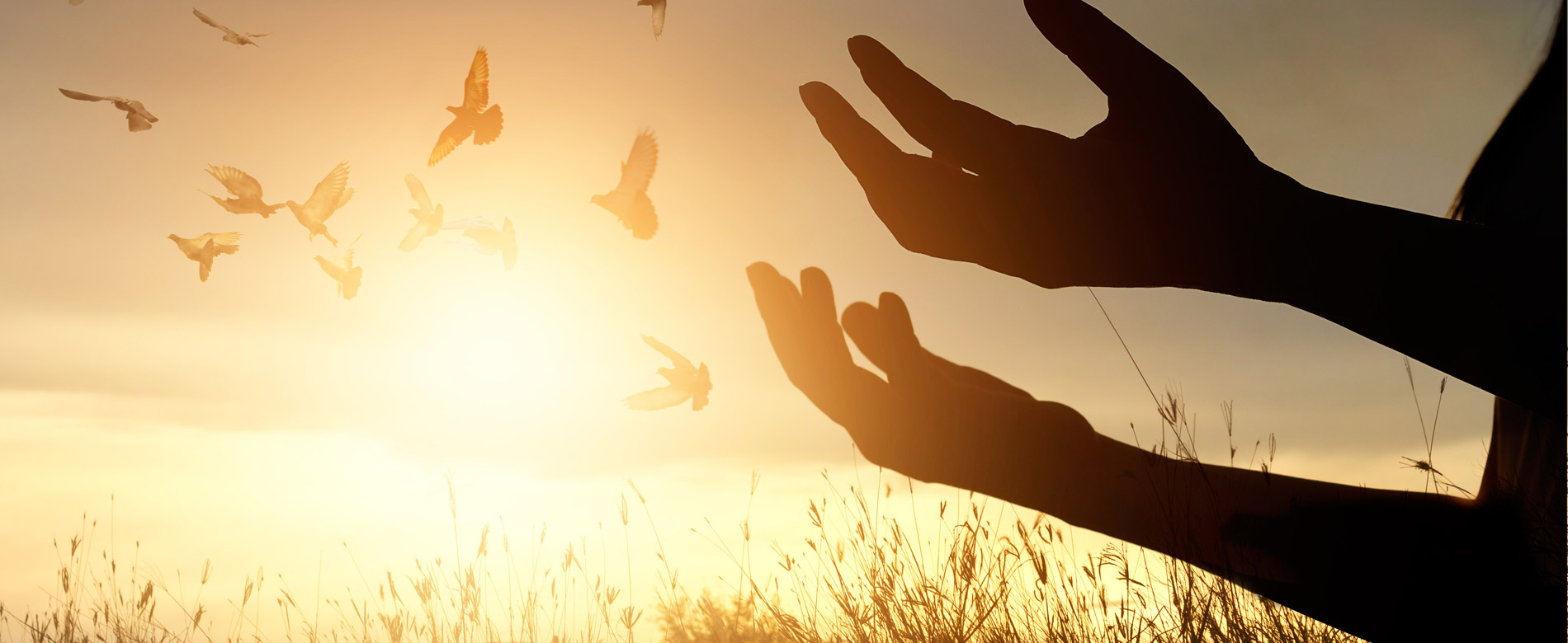 Быть свидетельством — 95