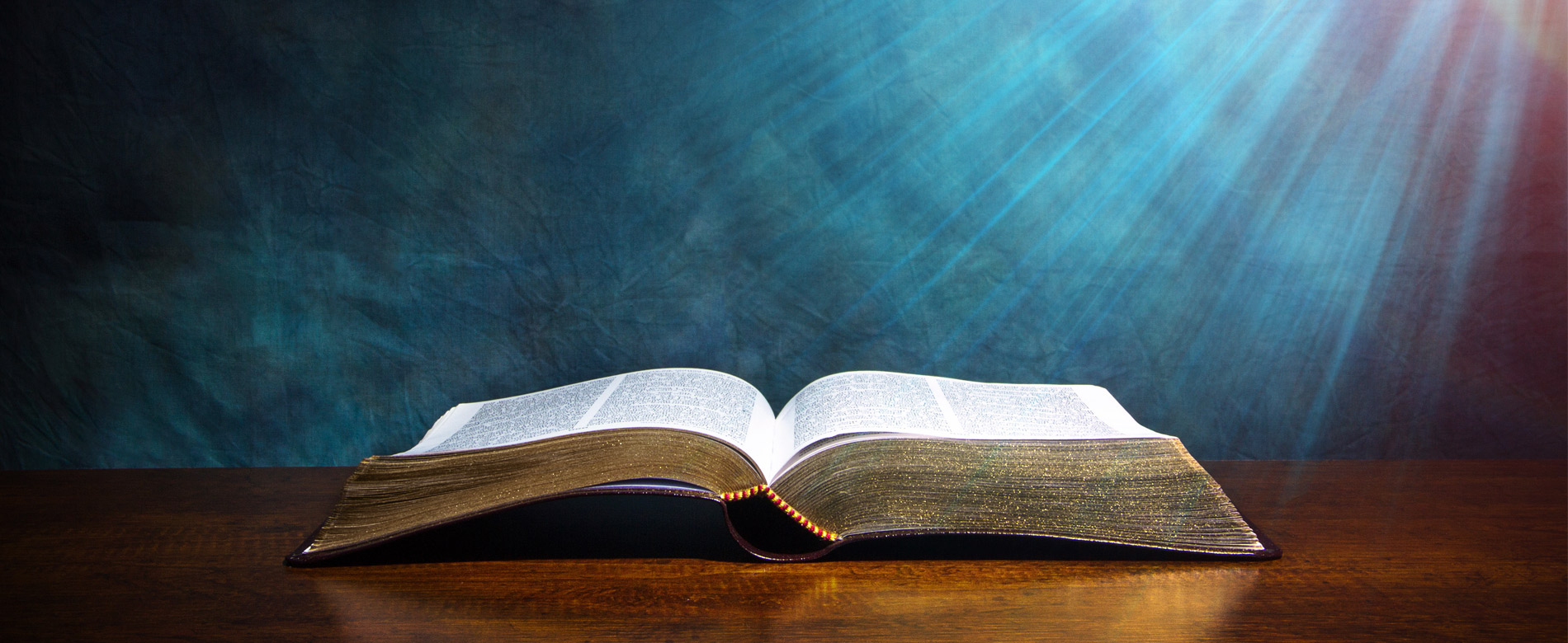 Быть свидетельством — 97