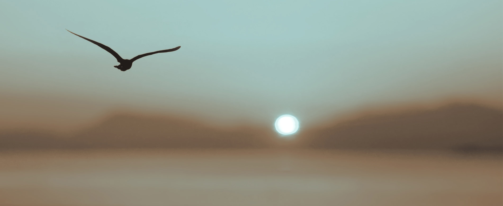 Быть свидетельством — 99