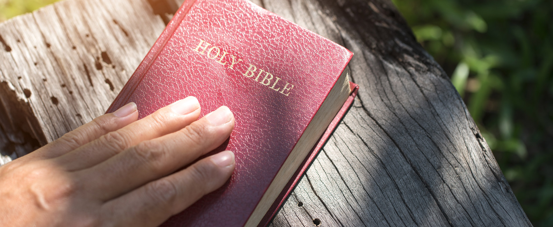 Кто имеет право свидетельствовать?