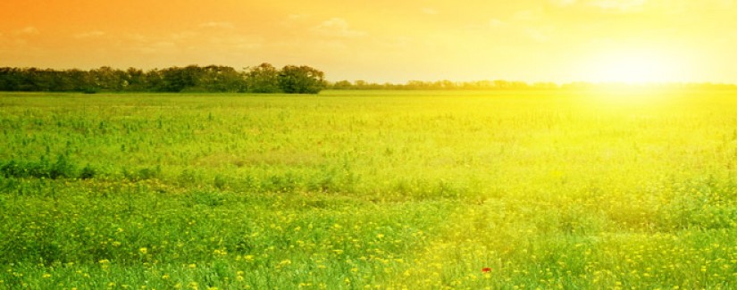 Quarentena – 27º dia