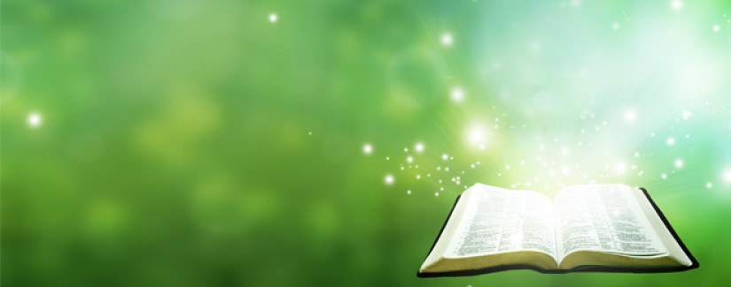 Quarentena – 33º dia