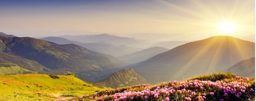 Jejum pelo mais importante – 12º dia