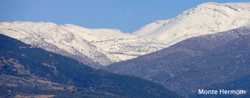 Jejum pelo mais importante – 15º dia