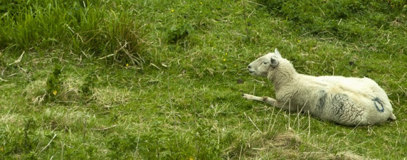 A vida de Jacó – 3º dia