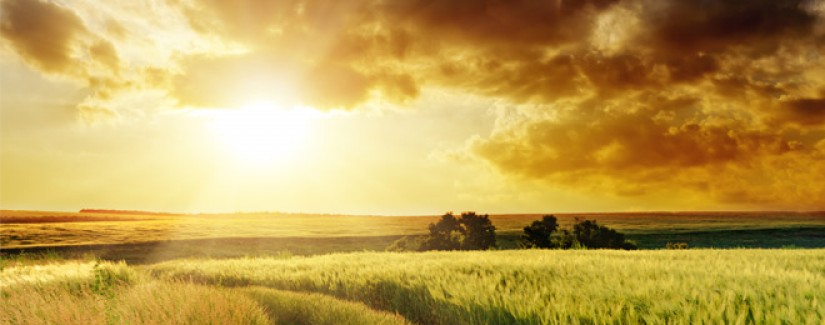 A vida de Jacó – 7º dia