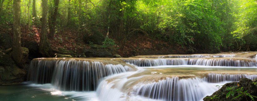 A vida de Jacó – 13º Dia