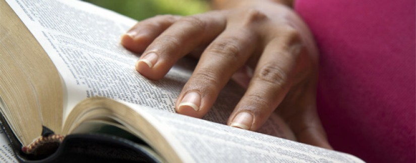 A vida de Jacó – 14º Dia