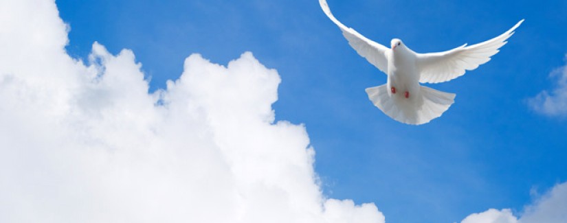 21 dias de Jejum – 4º Dia