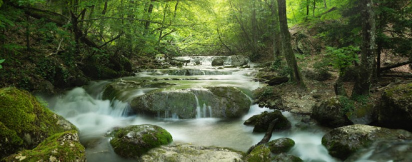 15º Dia – O que Ele tem para lhe oferecer?