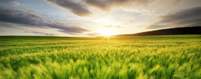 2º dia – Aonde está vida?