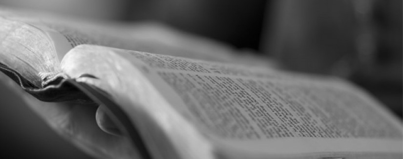 3º dia – Quem é testemunha de Jesus?