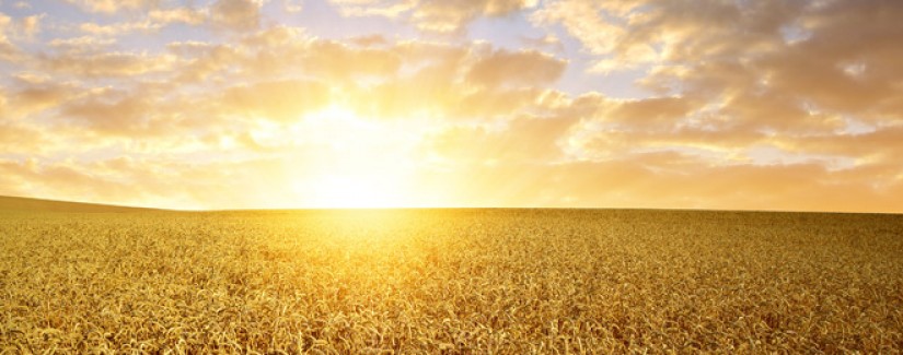 6º dia – Como Ele foi entre nós?