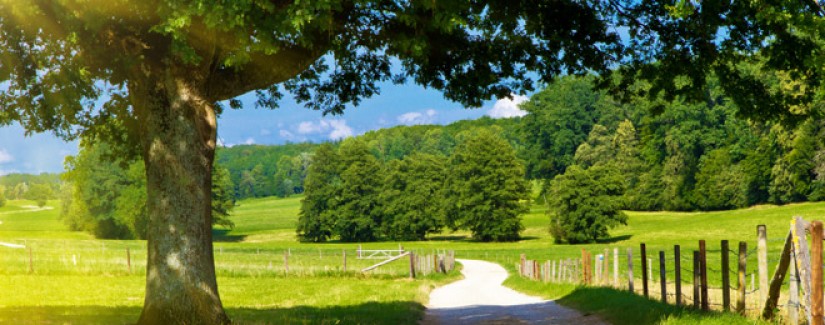 25º Dia – O que acontece quando se manifesta fé?