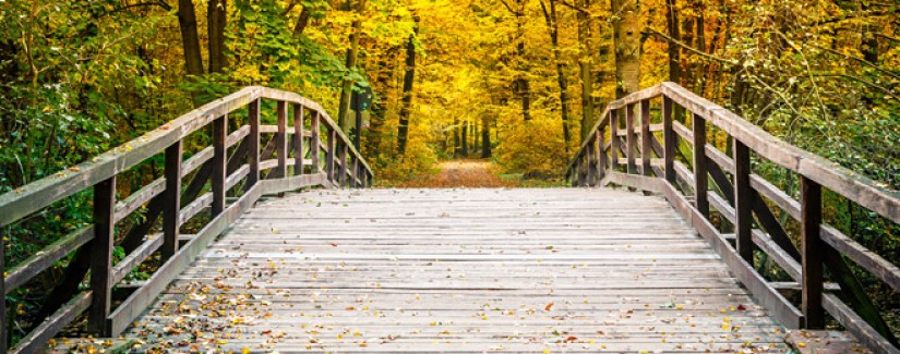 28º Dia – Que faremos para realizar as Obras de Deus?