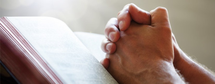 36º Dia – Jesus fala quem é falso e quem é verdadeiro