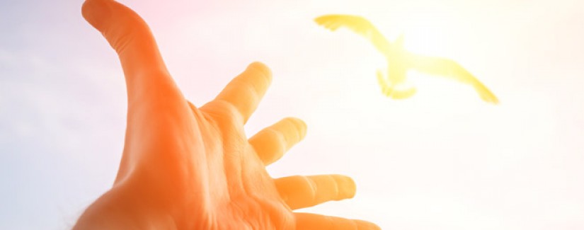 Audio: Quando é que chegamos a Deus