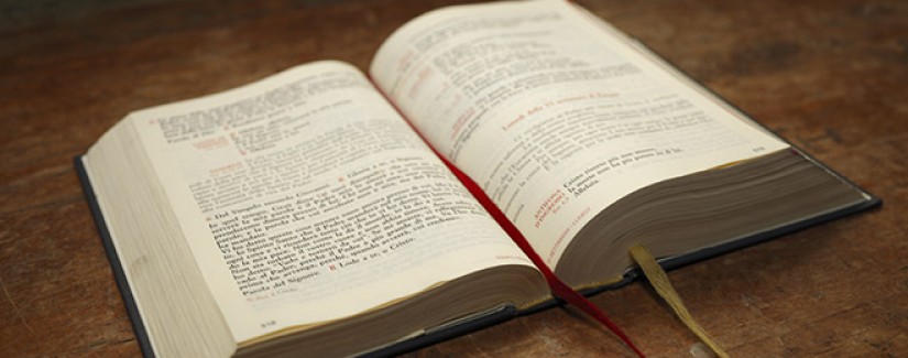 16º Dia – A fé obtém testemunho