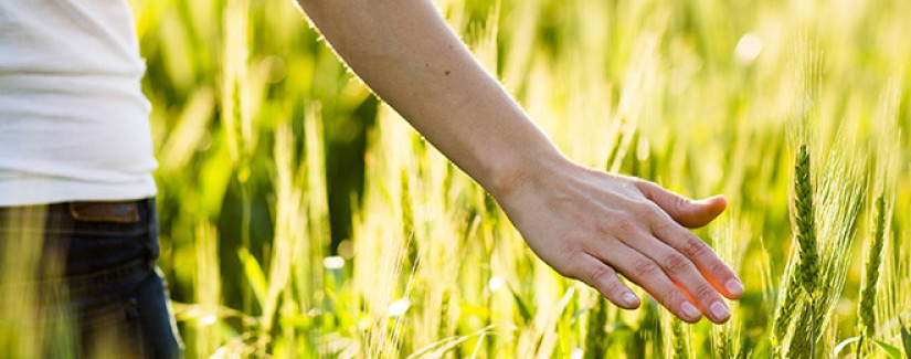 Obreira: Obreira que segue o maior Exemplo!