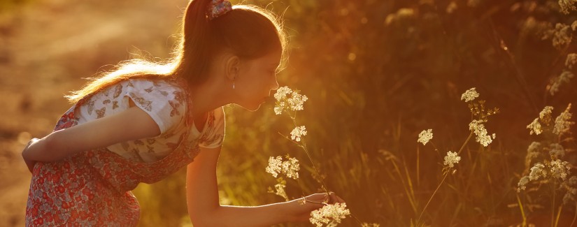 Curiosidades das coisas do mundo