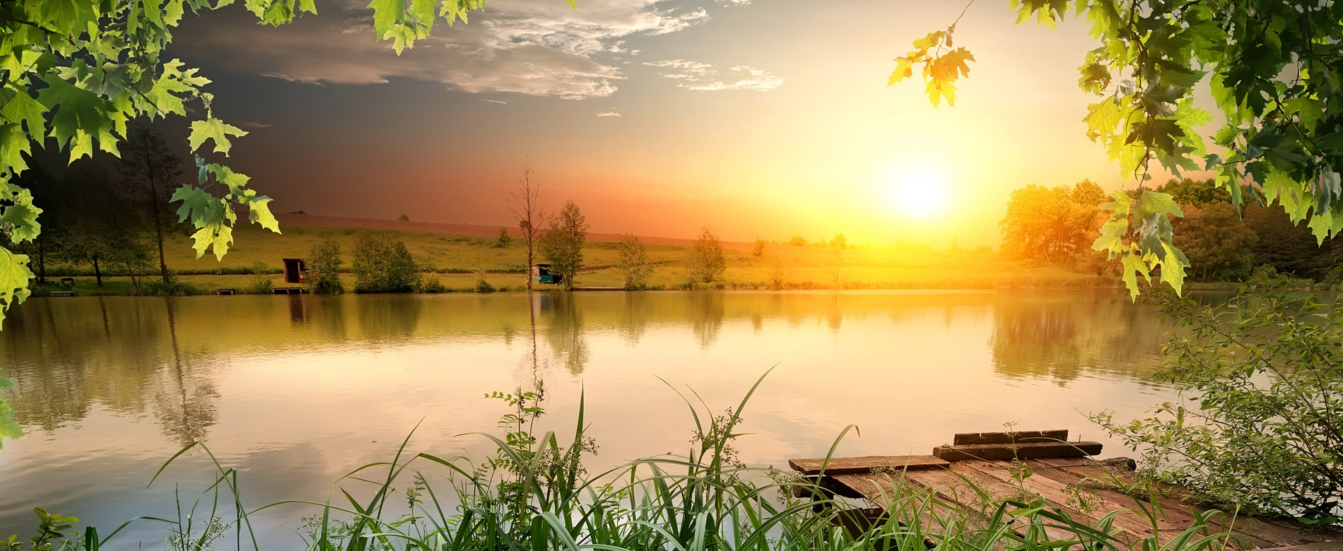 168 – O que a vontade faz?