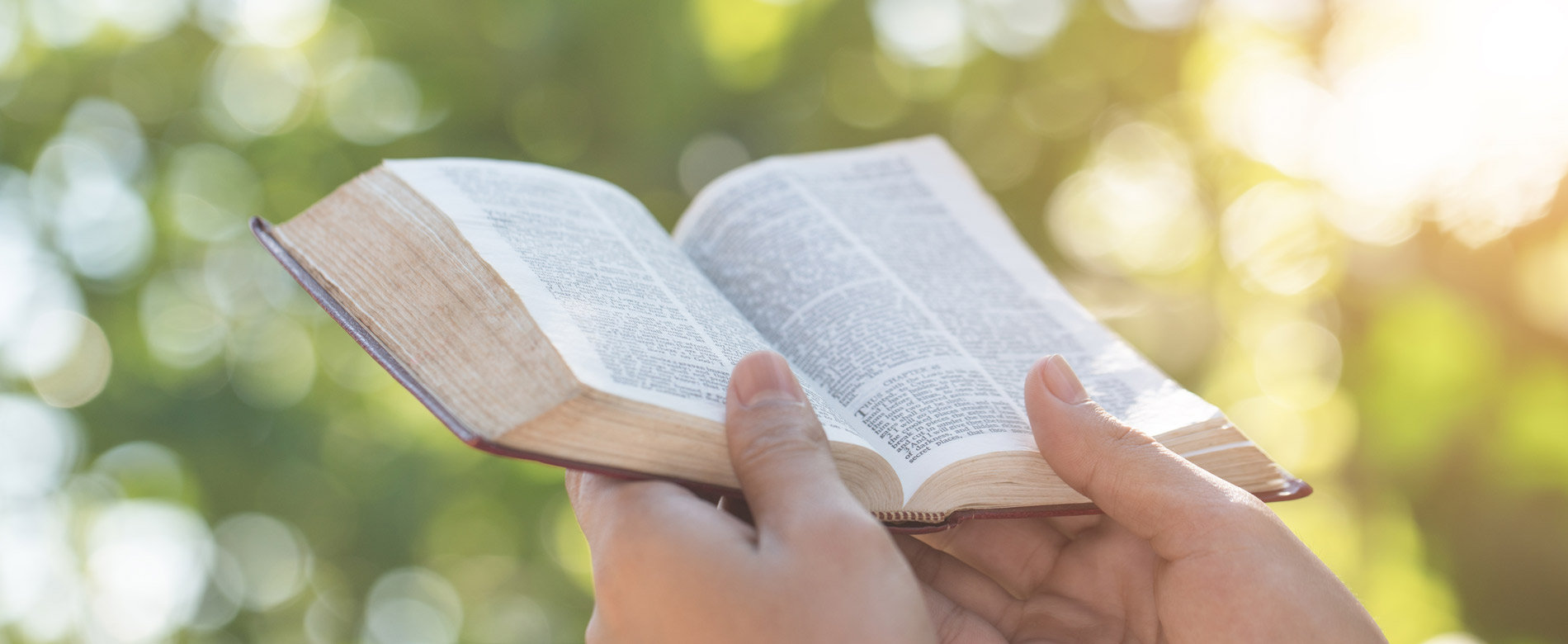 172 – Receba o que Jesus dá