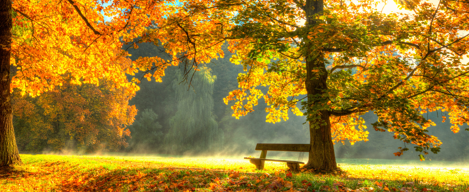 14º Dia | Porque o mal tem direito na vida de uma pessoa?