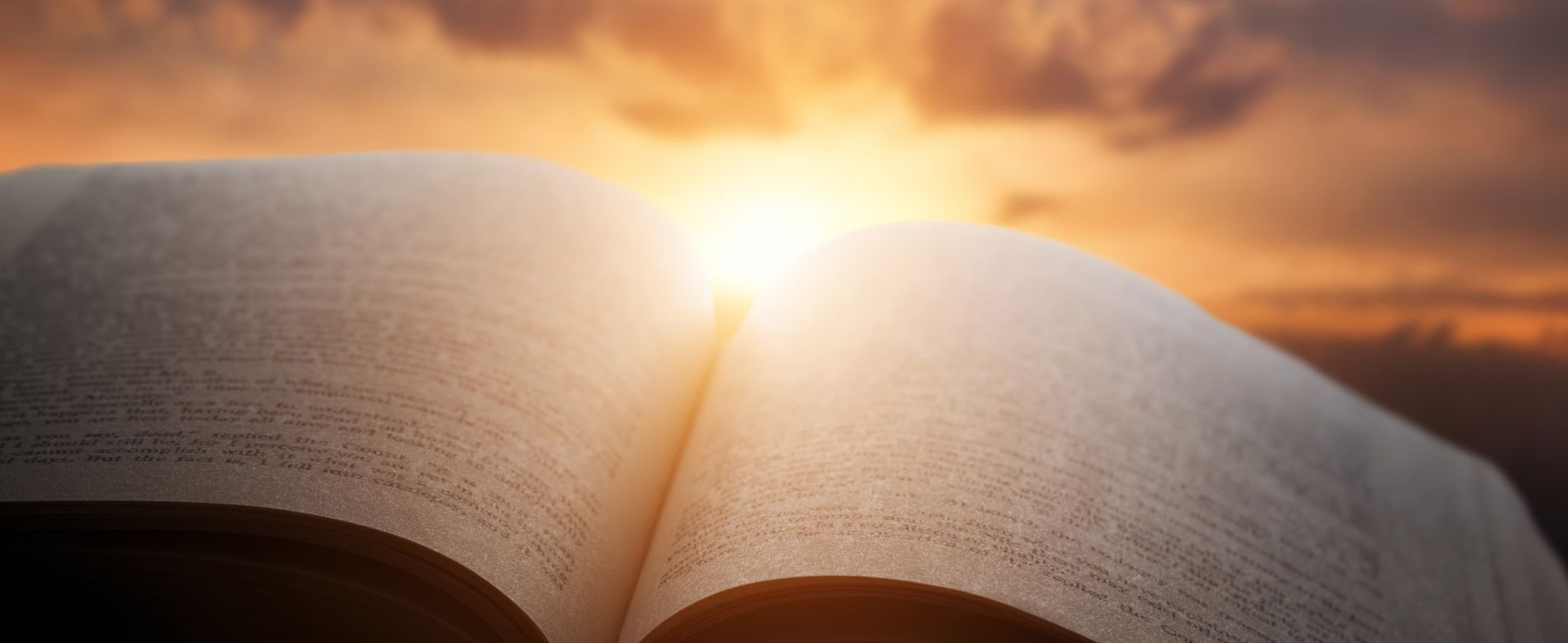 15º Dia |  Quem é você? Descreva a esposa de Jacó – Raquel, e diga o que você viu da história dela