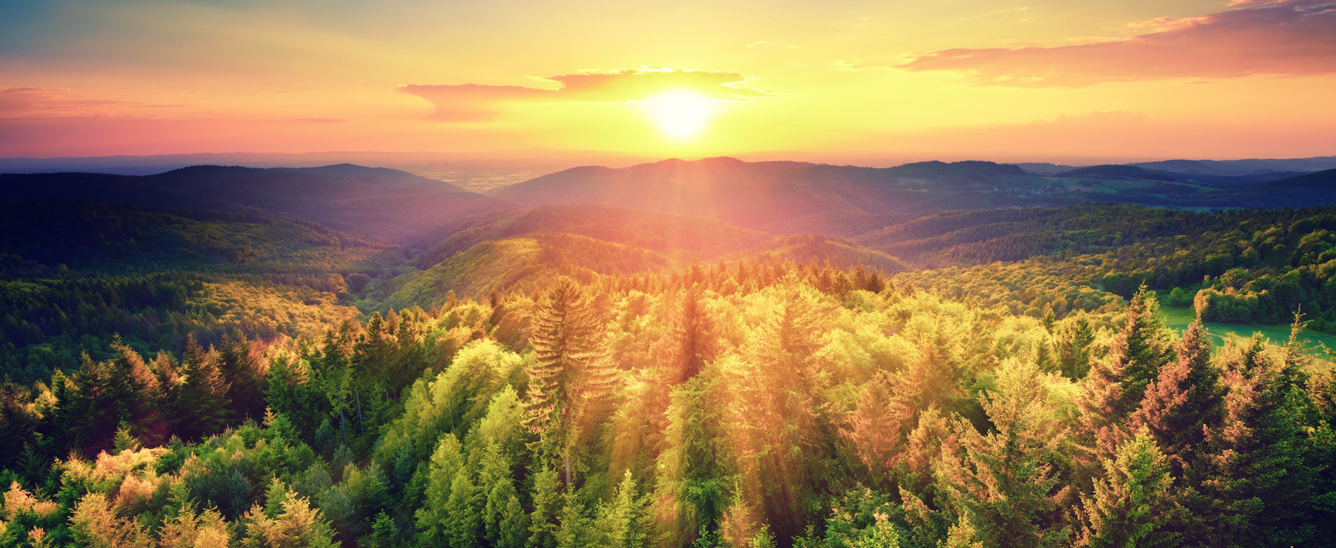 19º Dia | Como Deus age diante de uma decepção?