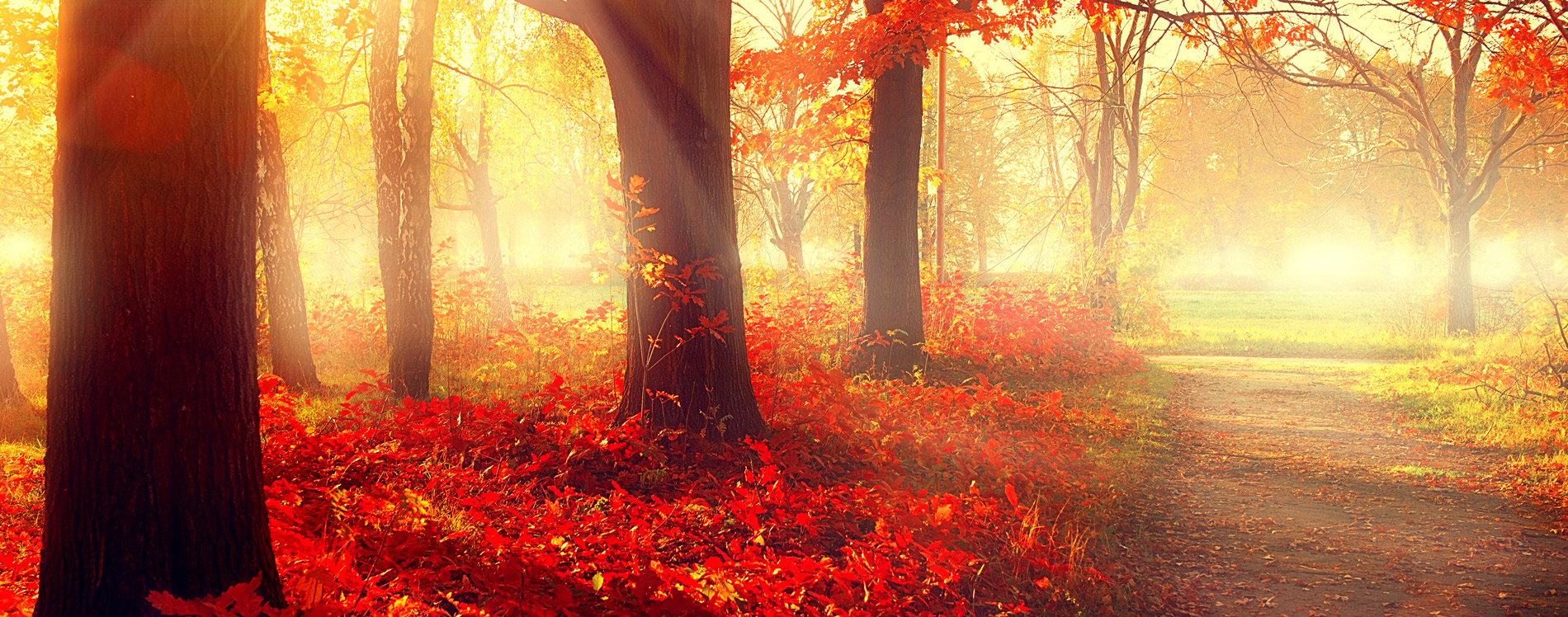 8º Dia | O que a sua oferta diz de você? E o que aponta?