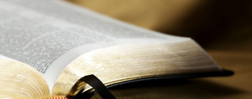 Qual voz você quer obedecer?