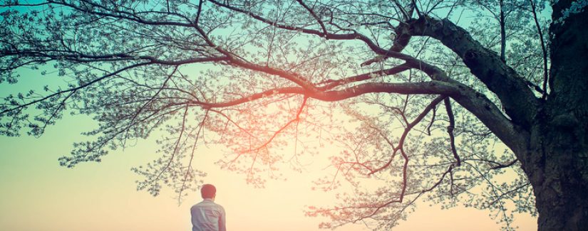 Quem é filho de Deus?