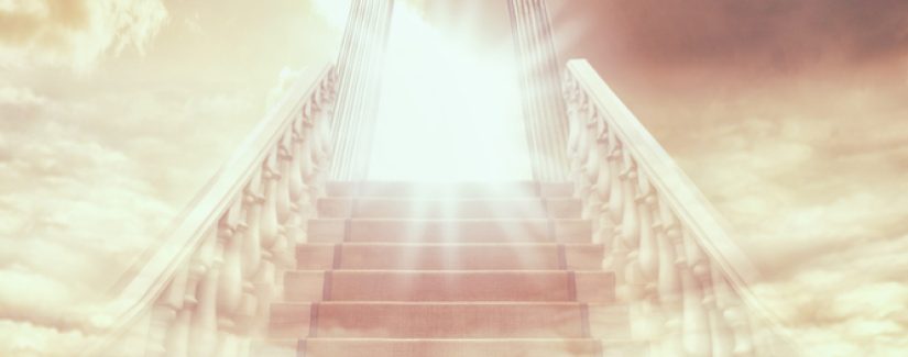 Diferença de Reinos