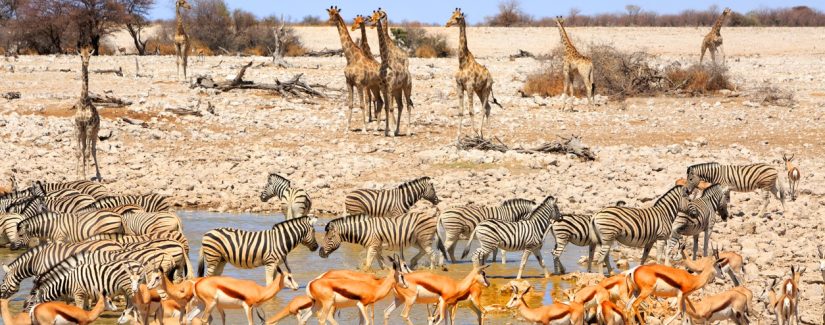 Quando eu me torno Poderosa