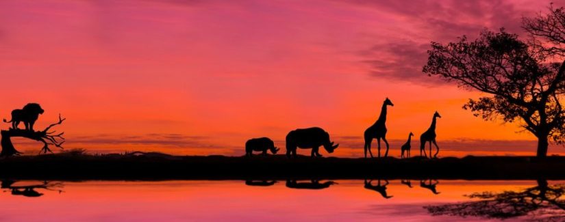 Você busca fugir do bem?