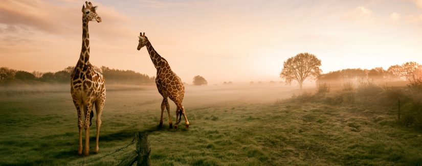 Você vai ser ingrato ao Deus que preparou tudo para sua chegada?