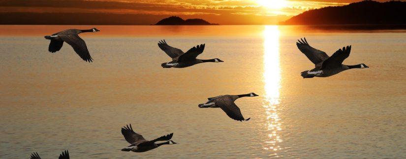 Por que Deus nos quer por perto?