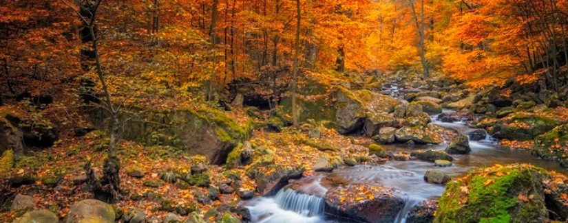 Quem tem domínio sobre você?