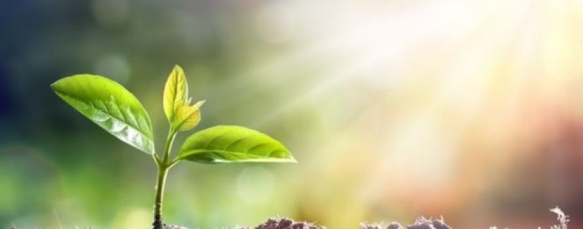 OBSERVE O QUE VOCÊ FAZ!