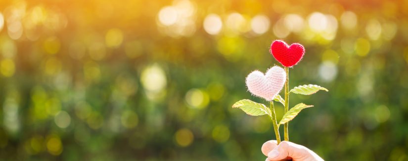 Por que tenho coragem de oferecer o que me desafio?