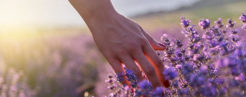 Deus decidiu continuar com a Sua bondade