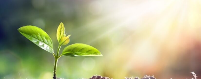 Observe o que você faz!