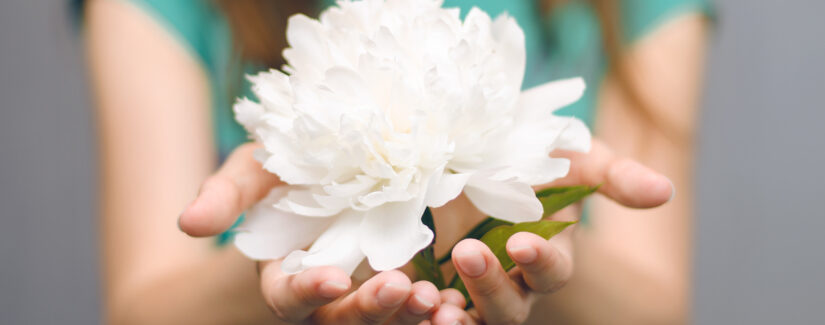 QUEM É DEUS? QUEM É VOCÊ? – Episódio 9: Jesus é simples