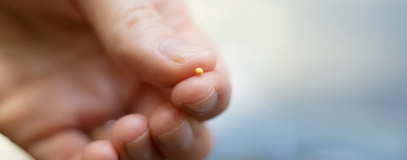 25 – O REINO DE DEUS: O que a Palavra de Deus faz quando ela é semeada em sua vida?